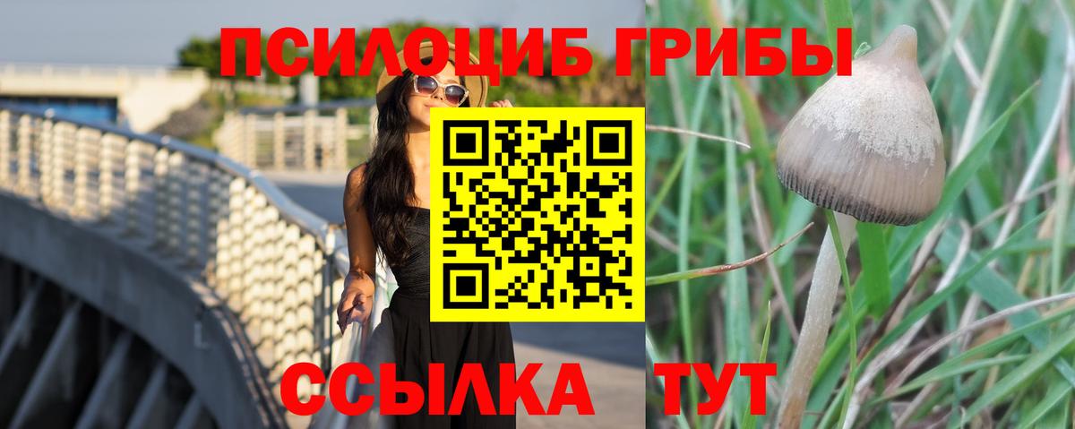 Саров  Псилоцибиновые грибы ЛСД  купить  сайты  Вход с VPN 